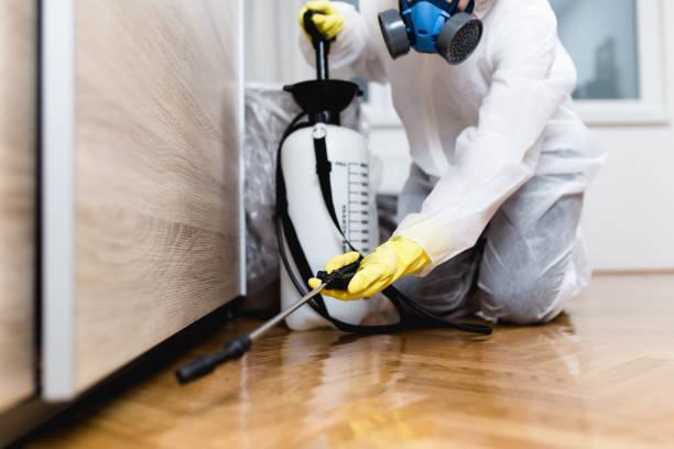 Best Rat Extermination Near Me  in Breckenridge, MI