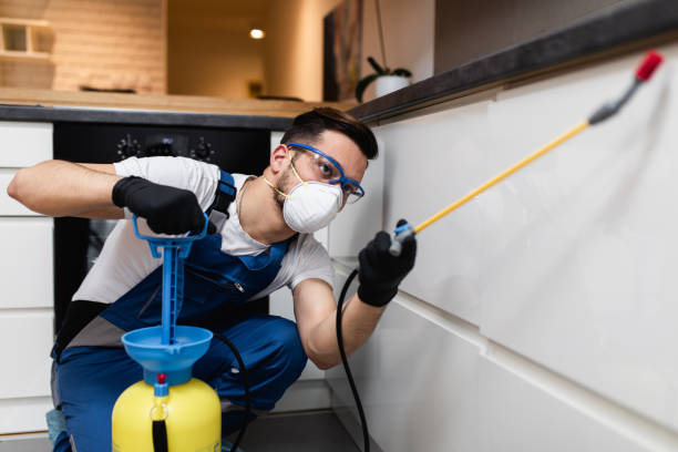 Best Mosquito Control Services  in Breckenridge, MI