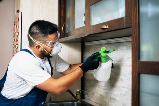 Best Pest Control for Homes  in Breckenridge, MI