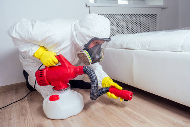 Best Emergency Pest Control  in Breckenridge, MI