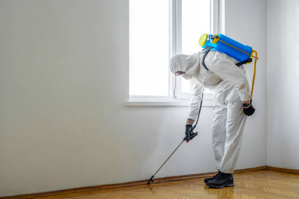 Best Local Pest Control Services  in Breckenridge, MI