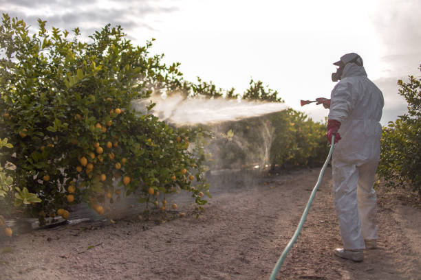 Best Cockroach Control Services  in Breckenridge, MI