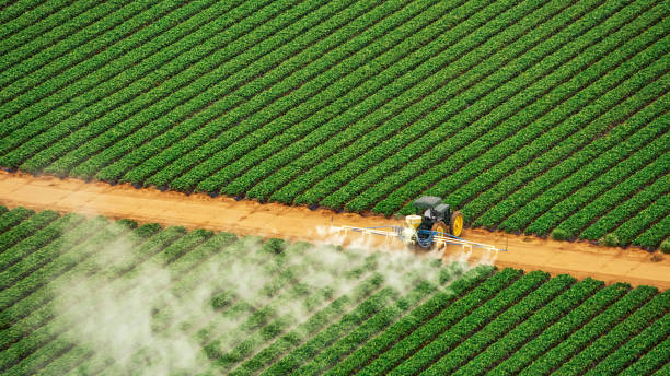 Best Commercial Pest Control Services  in Breckenridge, MI