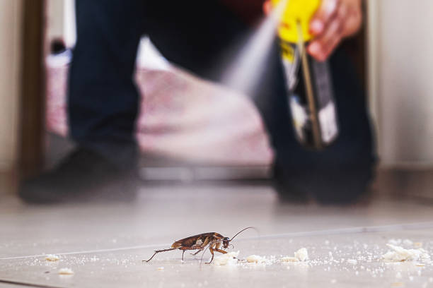 Best Mosquito Control Services  in Breckenridge, MI