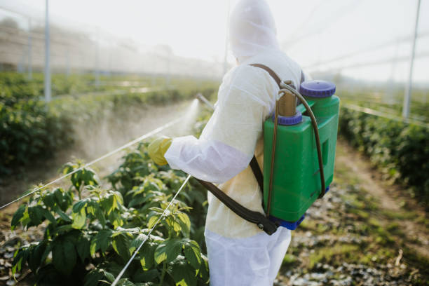 Best Ant Control Services  in Breckenridge, MI